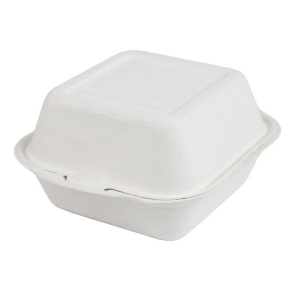 6" x 6" x 3" White Compostable Sugarcane / Bagasse Hinged-Lid Take Out Container - 1 case (500 piece)