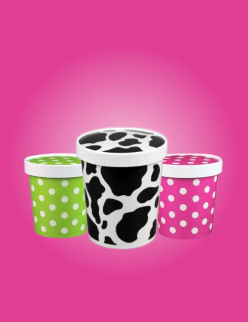 Ice Cream & Soup Combo Containers