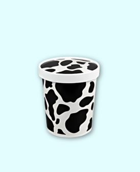 Ice Cream & Soup Combo Containers
